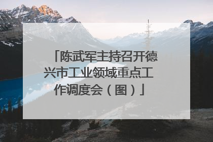 陈武军主持召开德兴市工业领域重点工作调度会（图）