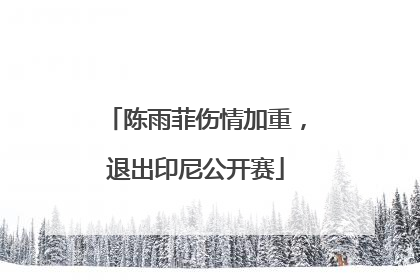 陈雨菲伤情加重，退出印尼公开赛