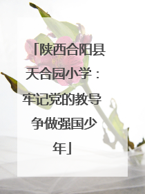 陕西合阳县天合园小学：牢记党的教导 争做强国少年