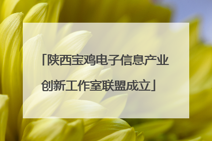 陕西宝鸡电子信息产业创新工作室联盟成立