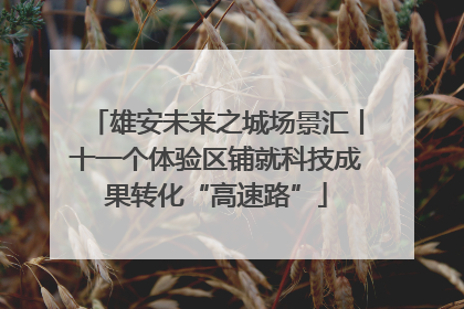 雄安未来之城场景汇丨十一个体验区铺就科技成果转化“高速路”