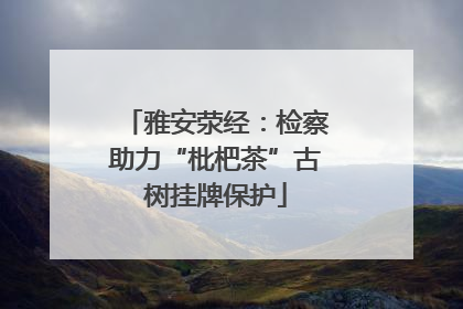 雅安荥经：检察助力“枇杷茶”古树挂牌保护