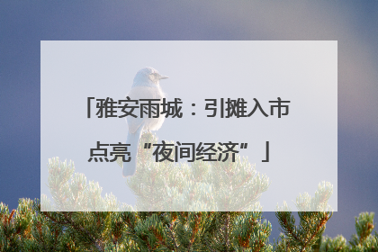 雅安雨城：引摊入市 点亮“夜间经济”