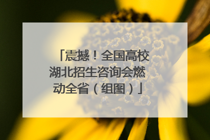 震撼！全国高校湖北招生咨询会燃动全省（组图）