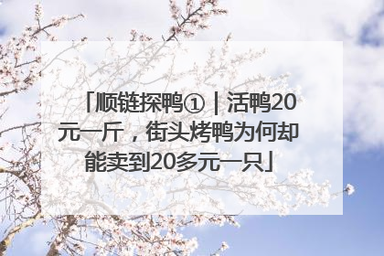 顺链探鸭①｜活鸭20元一斤，街头烤鸭为何却能卖到20多元一只