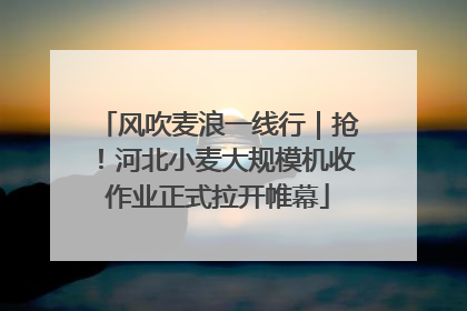 风吹麦浪一线行｜抢！河北小麦大规模机收作业正式拉开帷幕