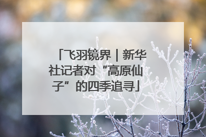 飞羽镜界｜新华社记者对“高原仙子”的四季追寻