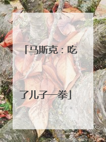 马斯克：吃了儿子一拳