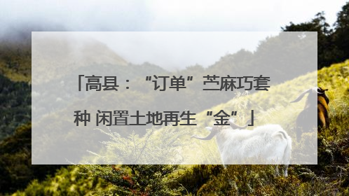 高县：“订单”苎麻巧套种 闲置土地再生“金”