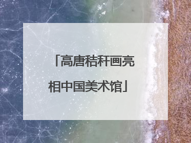 高唐秸秆画亮相中国美术馆