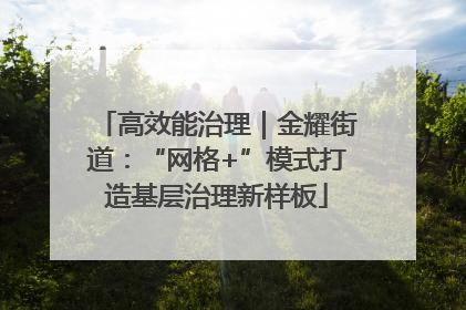 高效能治理｜金耀街道：“网格+”模式打造基层治理新样板