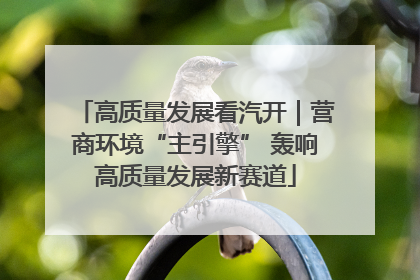 高质量发展看汽开｜营商环境“主引擎” 轰响高质量发展新赛道