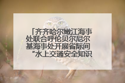 齐齐哈尔嫩江海事处联合呼伦贝尔尼尔基海事处开展省际间“水上交通安全知识进校园”活动