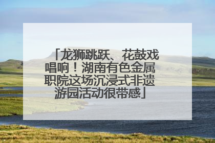龙狮跳跃、花鼓戏唱响！湖南有色金属职院这场沉浸式非遗游园活动很带感