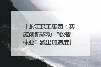 龙江森工集团：实施创新驱动 “数智林业”跑出加速度
