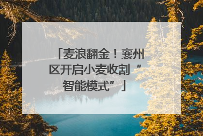 麦浪翻金！襄州区开启小麦收割“智能模式”