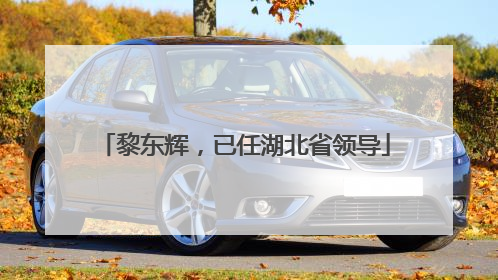 黎东辉，已任湖北省领导