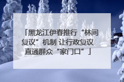 黑龙江伊春推行“林间复议”机制 让行政复议直通群众“家门口”