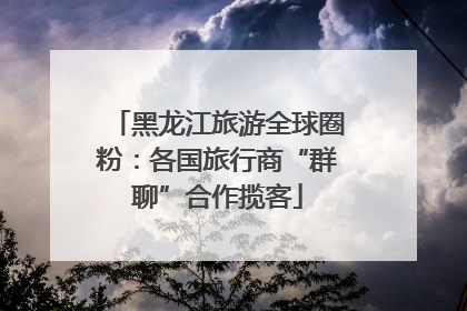 黑龙江旅游全球圈粉：各国旅行商“群聊”合作揽客