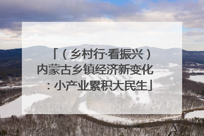 （乡村行·看振兴）内蒙古乡镇经济新变化：小产业累积大民生