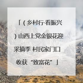 （乡村行·看振兴）山西上党金银花迎采摘季 村民家门口收获“致富花”