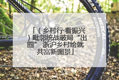 （乡村行·看振兴）毗邻统战破局“出圈” 浙沪乡村绘就共富新图景