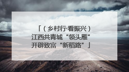 （乡村行·看振兴）江西共青城“领头雁”开辟致富“新稻路”