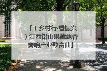 （乡村行·看振兴）江西铅山果蔬飘香 奏响产业致富曲