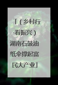 （乡村行·看振兴）湖南石鼓油纸伞撑起富民大产业