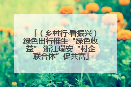 （乡村行·看振兴）绿色出行催生“绿色收益” 浙江瑞安“村企联合体”促共富
