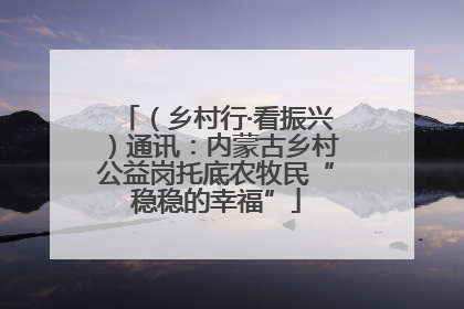 （乡村行·看振兴）通讯：内蒙古乡村公益岗托底农牧民“稳稳的幸福”