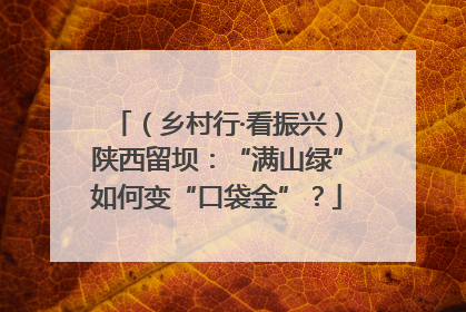 （乡村行·看振兴）陕西留坝：“满山绿”如何变“口袋金”？