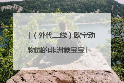 （外代二线）欧宝动物园的非洲象宝宝