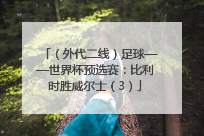（外代二线）足球——世界杯预选赛：比利时胜威尔士（3）