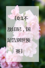 0:1不敌印尼，国足告别世预赛