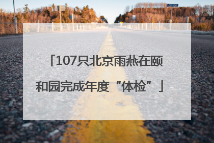 107只北京雨燕在颐和园完成年度“体检”