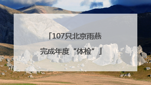 107只北京雨燕完成年度“体检”