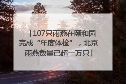 107只雨燕在颐和园完成“年度体检”，北京雨燕数量已超一万只