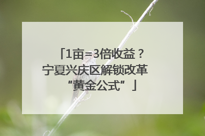 1亩=3倍收益？宁夏兴庆区解锁改革“黄金公式”