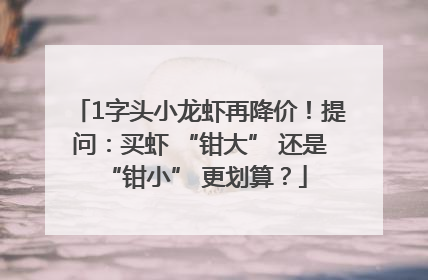 1字头小龙虾再降价！提问：买虾 “钳大” 还是 “钳小” 更划算？