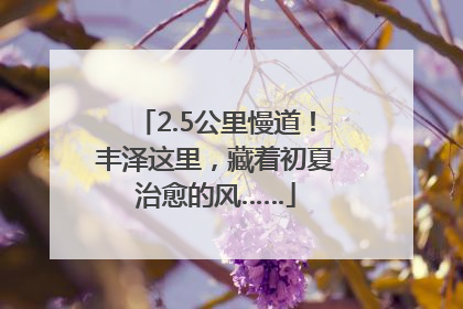 2.5公里慢道！丰泽这里，藏着初夏治愈的风……