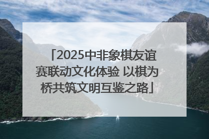 2025中非象棋友谊赛联动文化体验 以棋为桥共筑文明互鉴之路