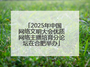 2025年中国网络文明大会优质网络主播培育分论坛在合肥举办