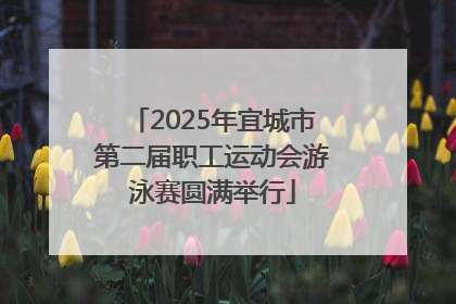 2025年宜城市第二届职工运动会游泳赛圆满举行