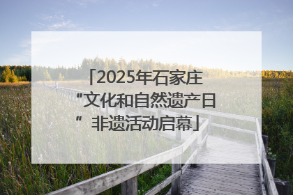 2025年石家庄“文化和自然遗产日”非遗活动启幕
