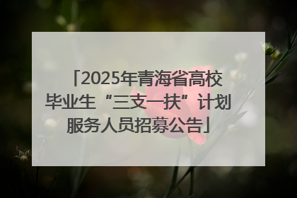 2025年青海省高校毕业生“三支一扶”计划服务人员招募公告