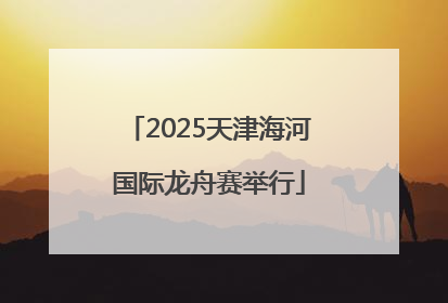 2025天津海河国际龙舟赛举行