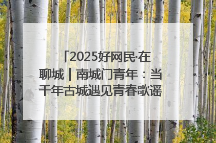 2025好网民·在聊城｜南城门青年：当千年古城遇见青春歌谣 一湖碧水见证的“聊城式浪漫”