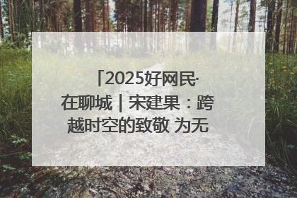 2025好网民·在聊城｜宋建果：跨越时空的致敬 为无名烈士“正名”