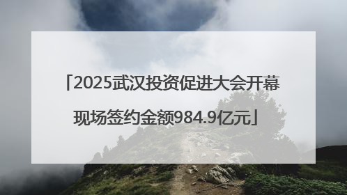 2025武汉投资促进大会开幕 现场签约金额984.9亿元